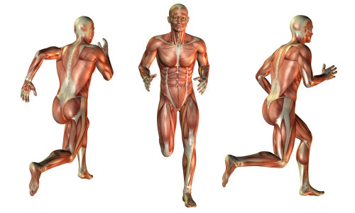 Muscle man at run